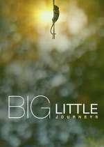 Watch Big Little Journeys 9movies