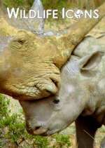 Watch Wildlife Icons 9movies