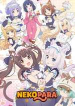 Watch Nekopara 9movies