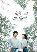 Watch The White Olive Tree 9movies