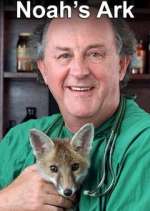 Watch Noah's Ark 9movies