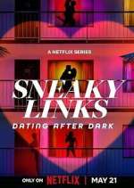 Watch Sneaky Links: Dating After Dark 9movies
