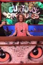 Watch Curious Creatures 9movies