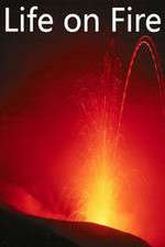 Watch Life on Fire 9movies