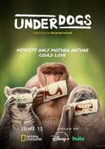 Watch Underdogs 9movies