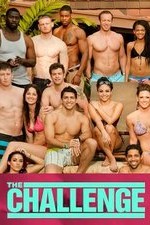the challenge season 41 episode 14 tv poster