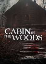 Watch Cabin in the Woods 9movies