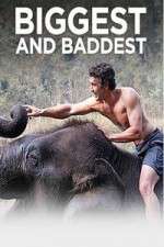 Watch Biggest and Baddest 9movies