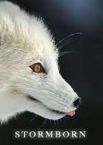 Watch Stormborn 9movies