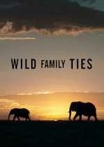 Watch Wild Family Ties 9movies
