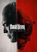 Watch Daredevil: Born Again 9movies
