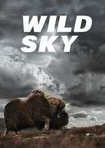 Watch Wild Sky 9movies