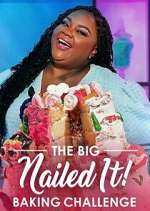 Watch The Big Nailed It! Baking Challenge 9movies