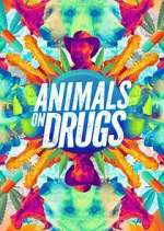 Watch Animals on Drugs 9movies
