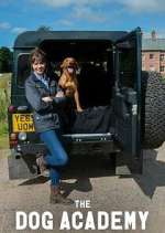 Watch Bad Dog Academy 9movies