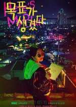 Watch Here's My Plan 9movies