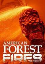 Watch American Forest Fires: The Untold Story 9movies