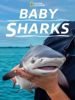 Baby Sharks
