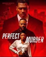 Perfect Murder
